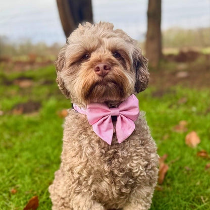 Dog Bows - Pastel Pink - Pupclub Couture
