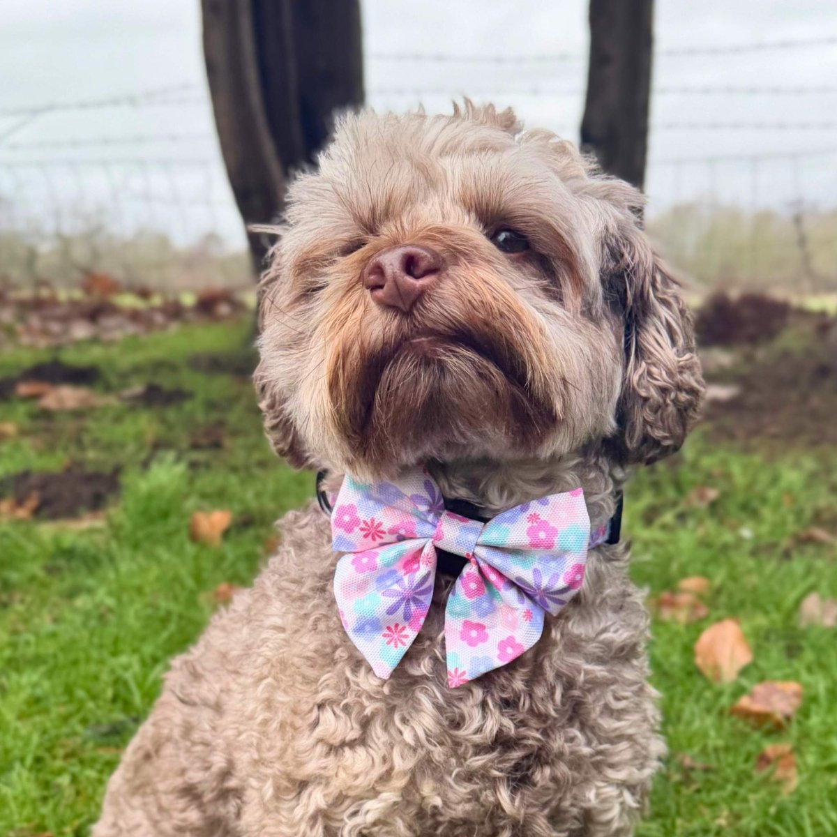 Dog Bows - Pretty Petals - Pupclub Couture