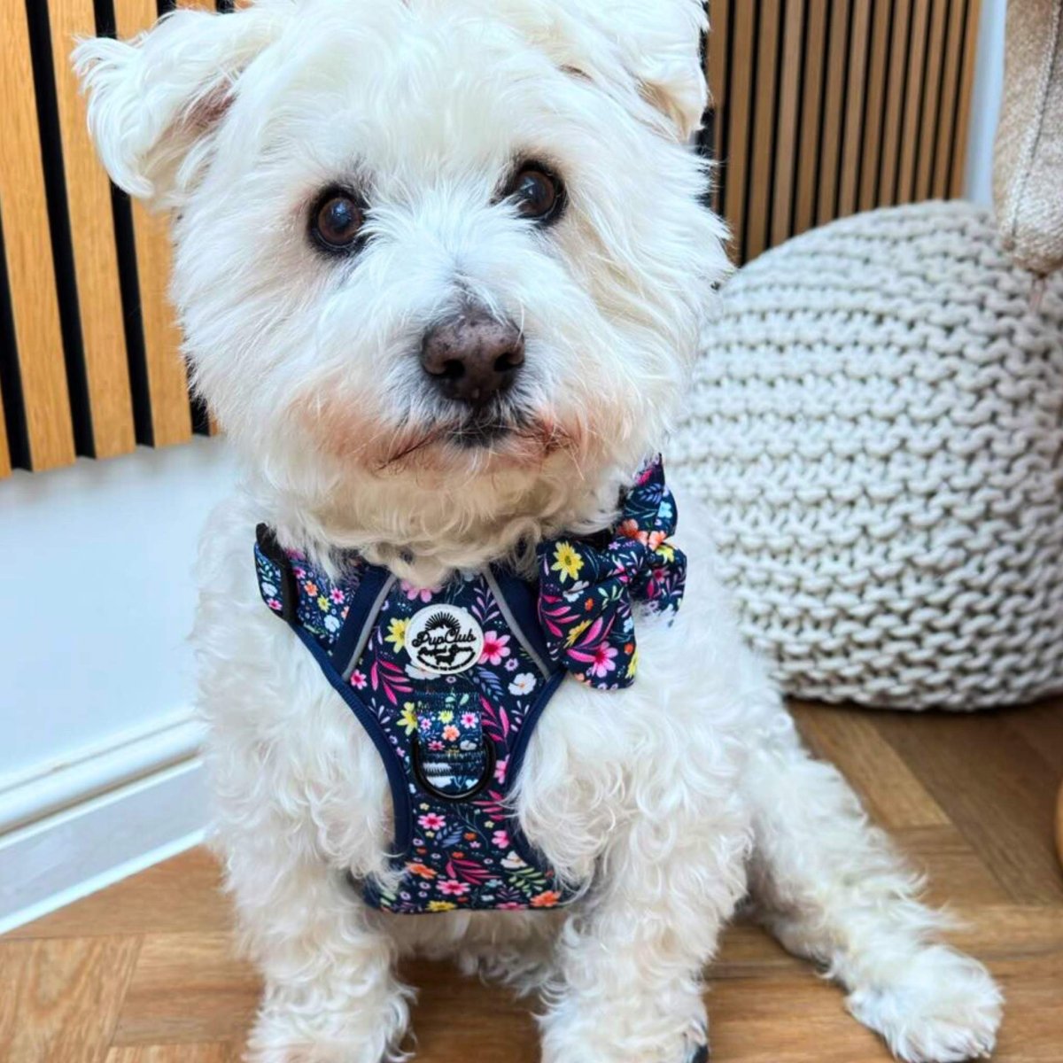 Dog Bow - Summer Meadow - Pupclub Couture