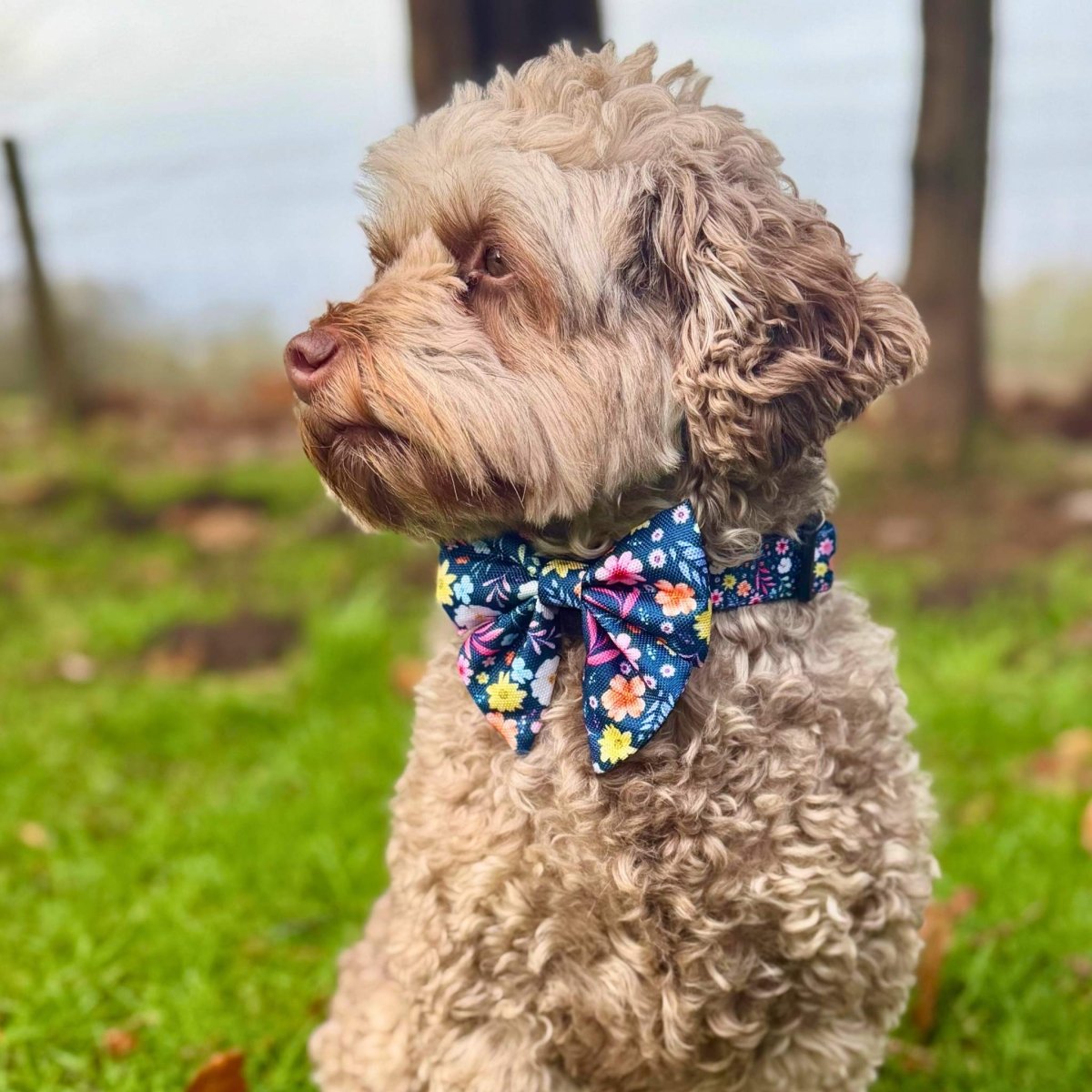 Dog Bow - Summer Meadow - Pupclub Couture