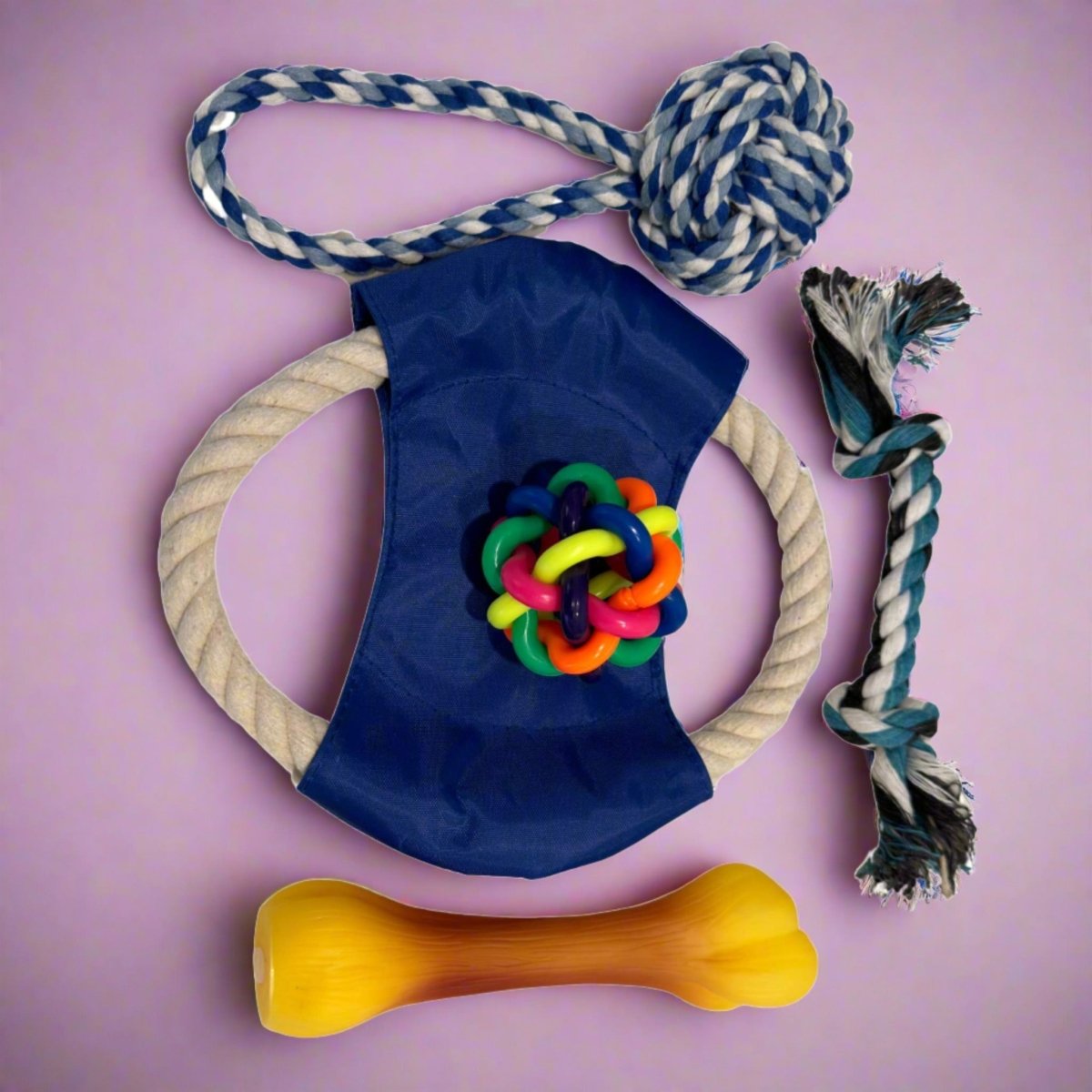 dog toys puppy pack squeak and rope toys pupclub couture