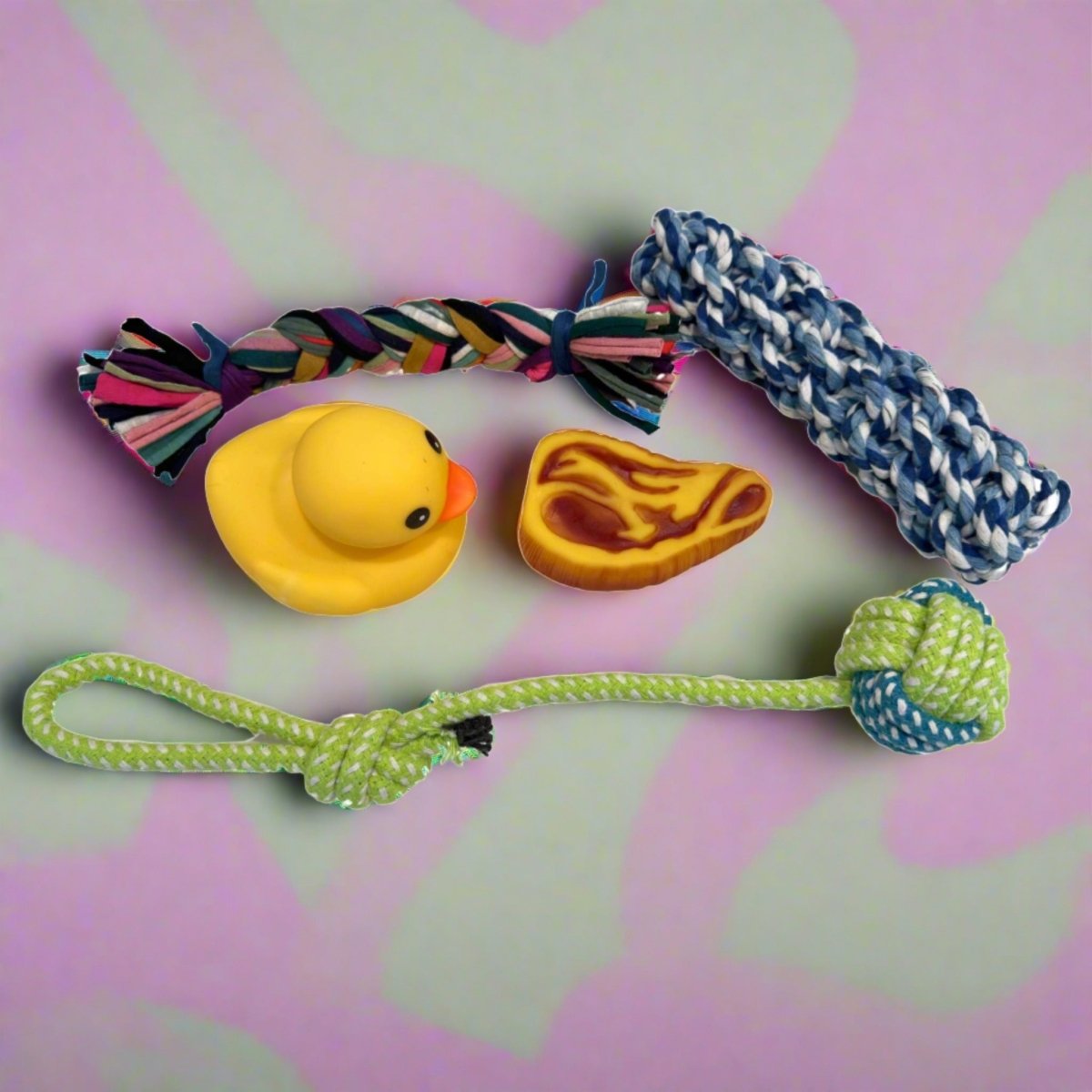 dog toys puppy pack squeak and rope toys pupclub couture