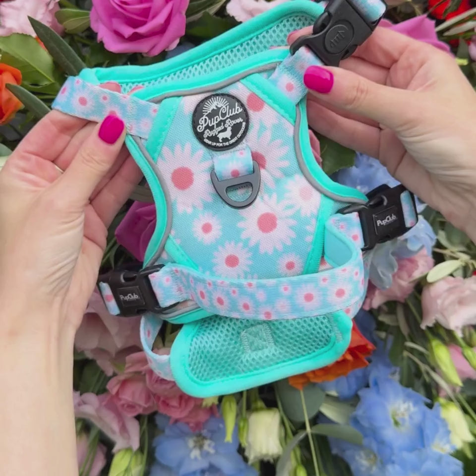 Pastel daisy rugged rover dog harness - Pupclub Couture