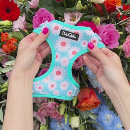 adjustable harness - pastel daisy -Pupclub Couture