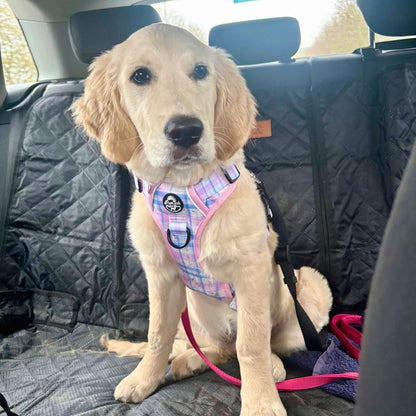 Rugged Rover Dog Harness - Pink Tartan - Pupclub Couture