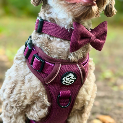 Rugged Rover Dog Harness - Red Berry Tweed - Pupclub Couture
