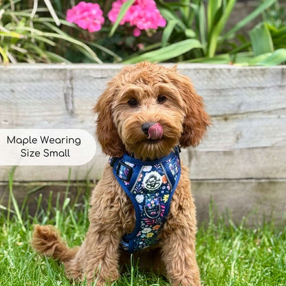 Cockapoo Puppy dog wearing Rugged Rover Dog Harness - Summer Meadow - PupClub Couture