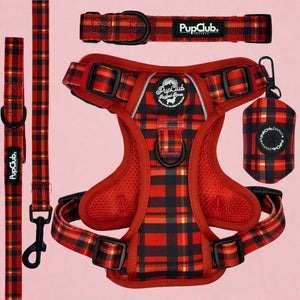 Rugged Rover Dog Harness Bundle - Red Tartan - Pupclub Couture
