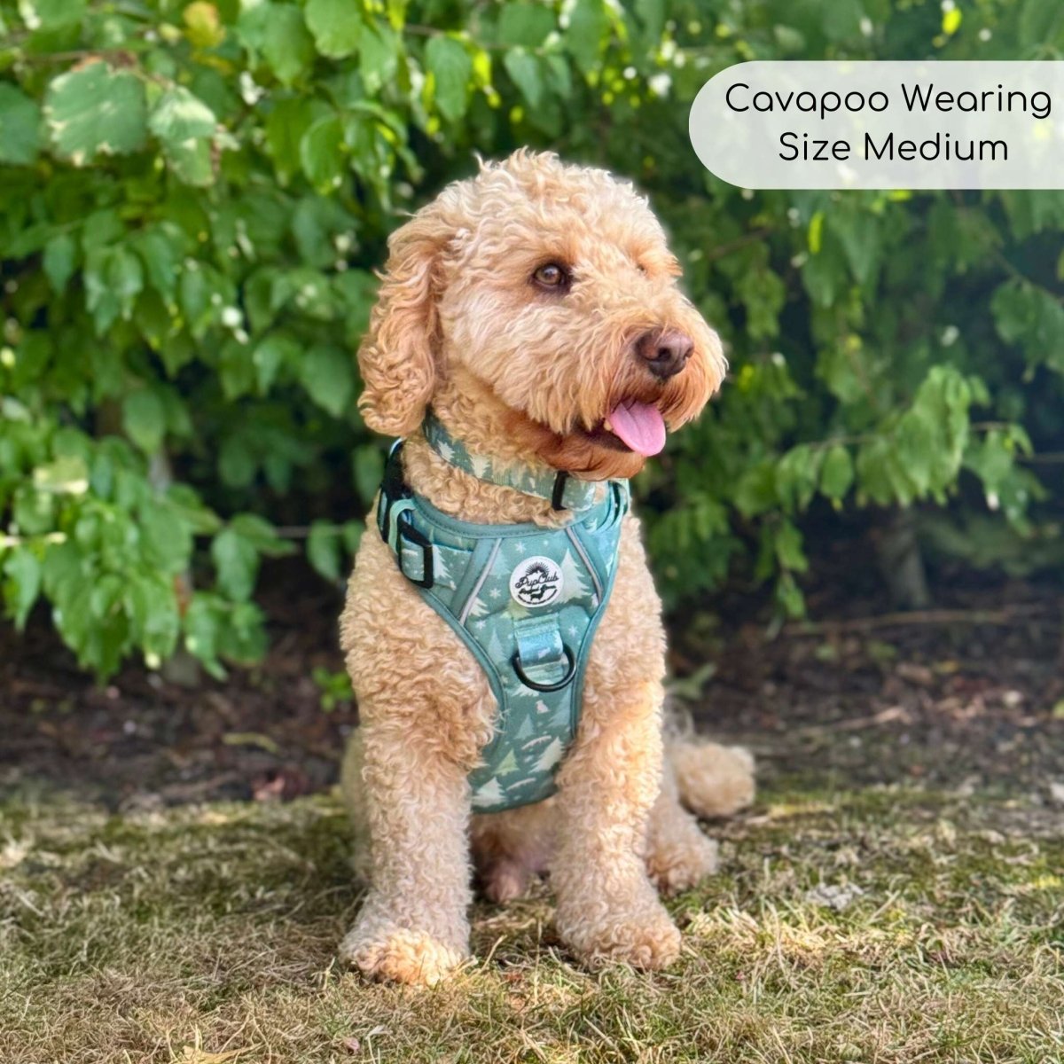 Cockapoo wearing Rugged Rover Dog Harness - Evergreen Trails - Pupclub Couture