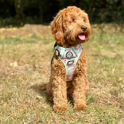 Cockapoo wearing Rugged Rover Dog Harness - Woodland friends - Pupclub Couture