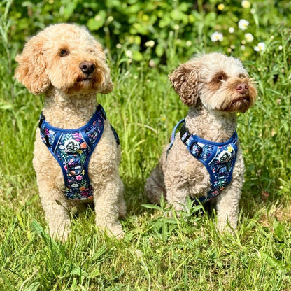 dogs wearing Rugged Rover Dog Harness - Summer Meadow - PupClub Couture
