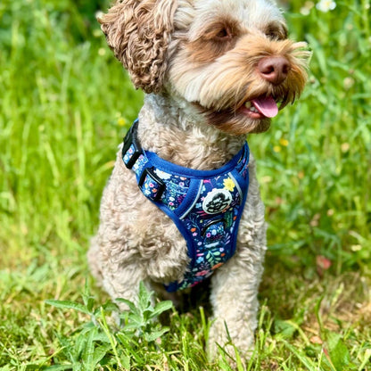 Maltipoo dog wearing Rugged Rover Dog Harness - Summer Meadow - PupClub Couture