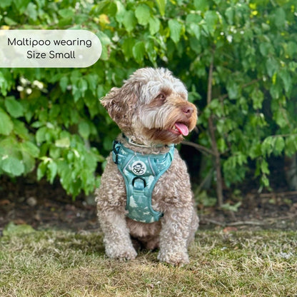 Maltipoo wearing Rugged Rover Dog Harness - Evergreen Trails - Pupclub Couture