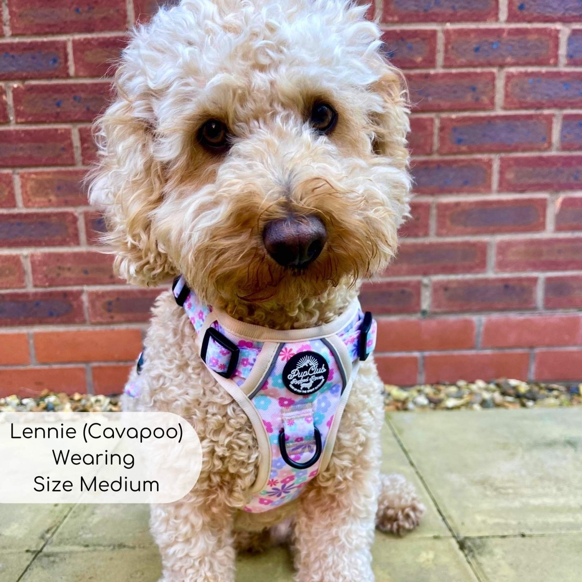 Rugged Rover™ No Pull Dog Harness - Pretty Petals - PupClub Couture