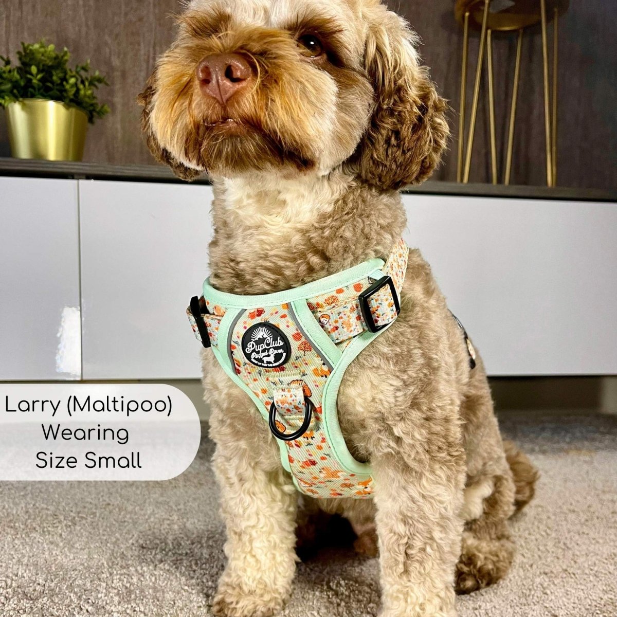 Rugged Rover™ No Pull Dog Harness - Woodland Friends - PupClub Couture