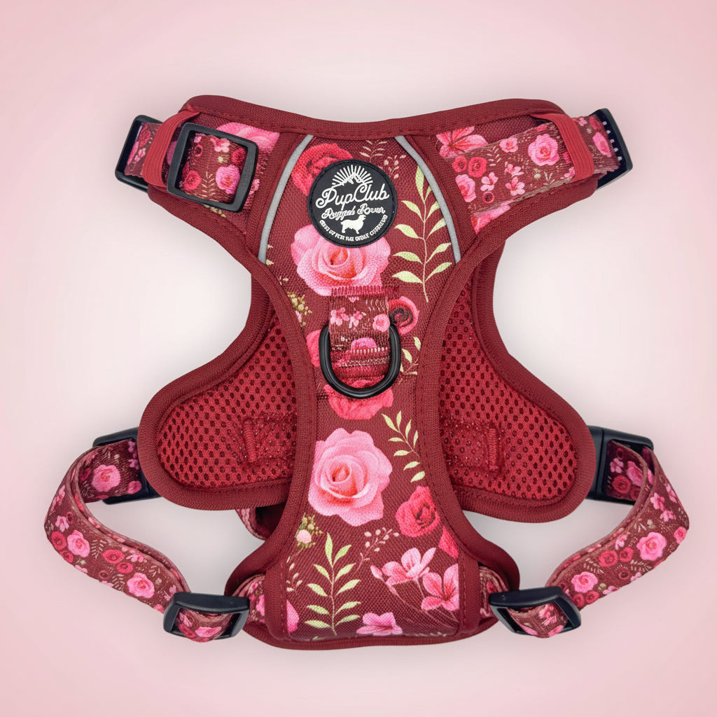 Rugged Rover No Pull Dog Harness - Burgundy Bloom - Pupclub Couture