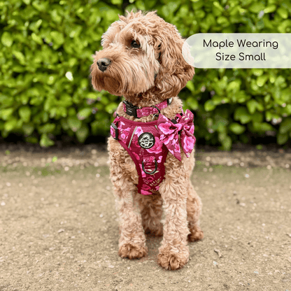 Dog Wearing Rugged Rover No Pull Dog Harness - Burgundy Bloom - Pupclub Couture