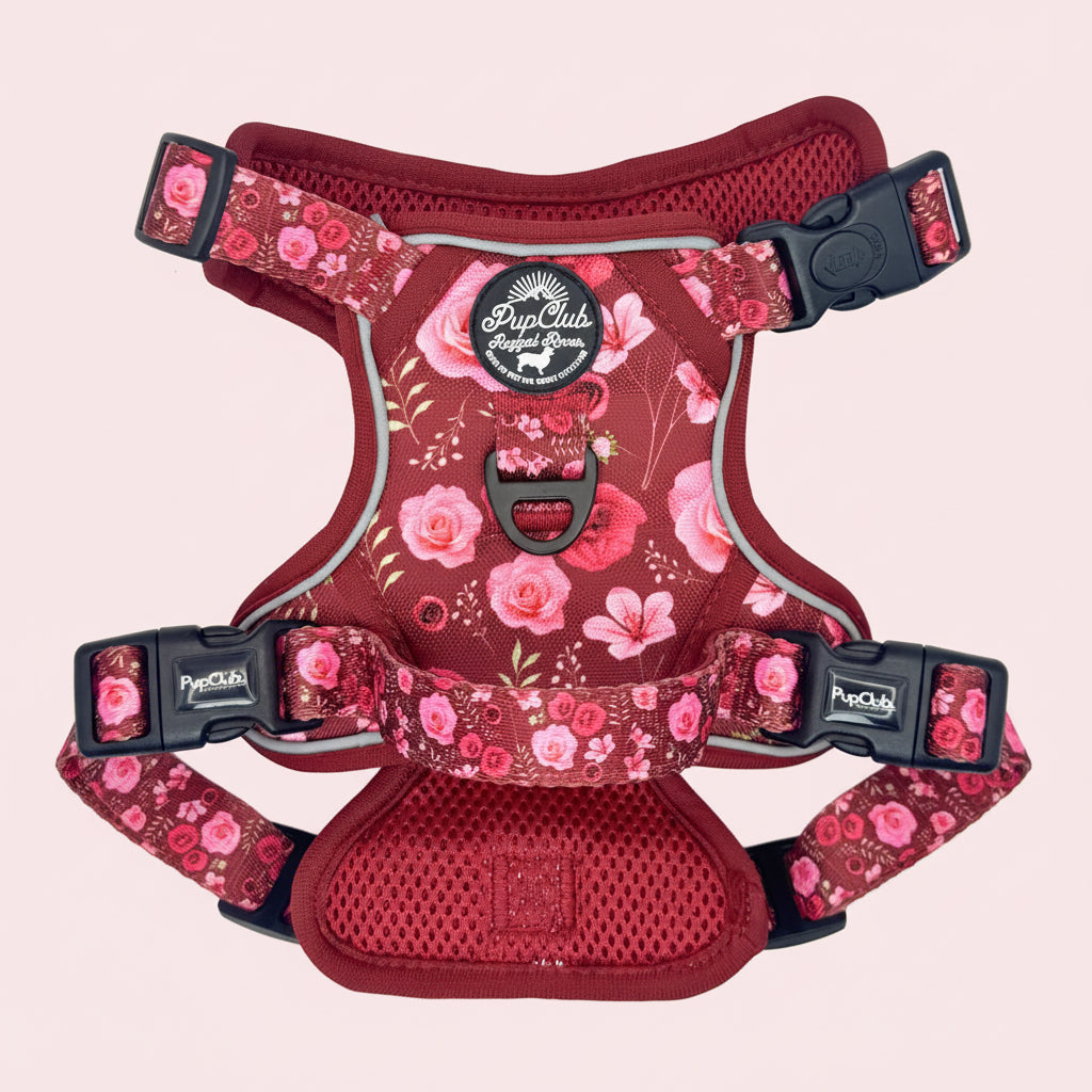 Rugged Rover No Pull Dog Harness - Burgundy Bloom - Pupclub Couture