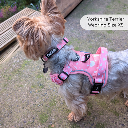 Yorkshire Terrier Wearing Rugged Rover No Pull Dog Harness - Peachy Hearts - Pupclub Couture