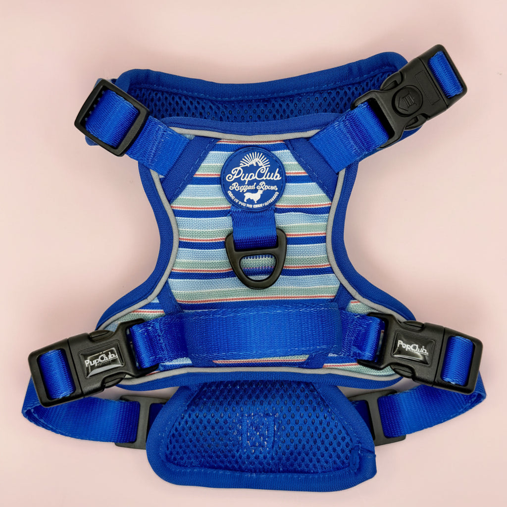 Rugged Rover No Pull Dog Harness - Sea Breeze Strpes - PupClub Couture
