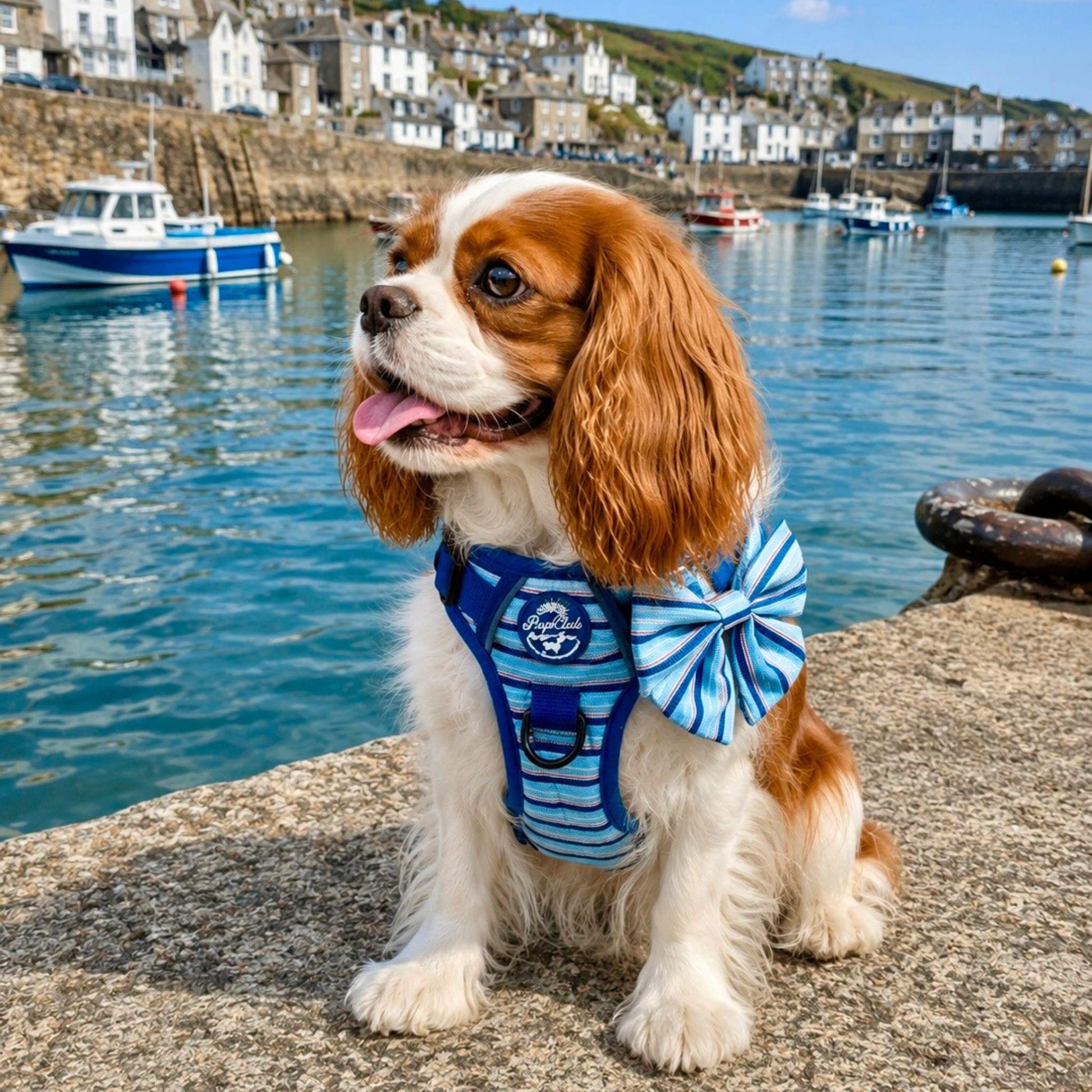 King Charles Spaniel dog wearing Rugged Rover No Pull Dog Harness - Sea Breeze Strpes - PupClub Couture