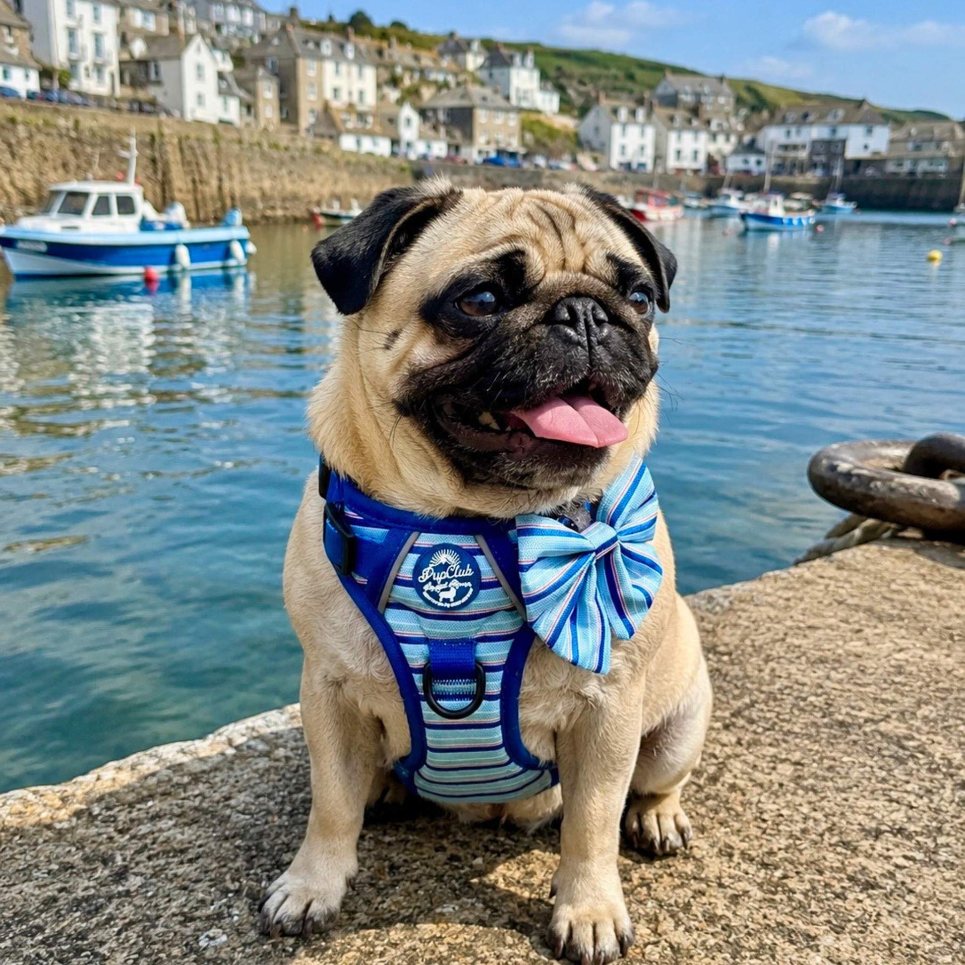 Pug dog wearing Rugged Rover No Pull Dog Harness - Sea Breeze Strpes - PupClub Couture
