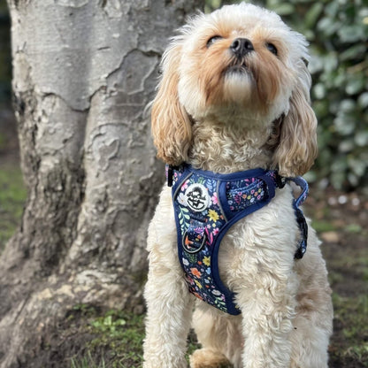 Rugged Rover No-Pull Dog Harness - Summer Meadow - Pupclub Couture