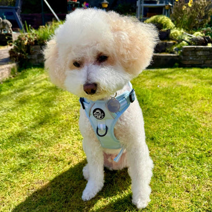 Rugged Rover Dog Harness - Pastel Blue - Pupclub Couture