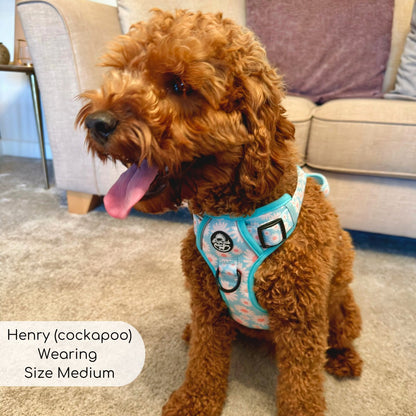 Pupclub couture rugged rover pastel daisy Henry