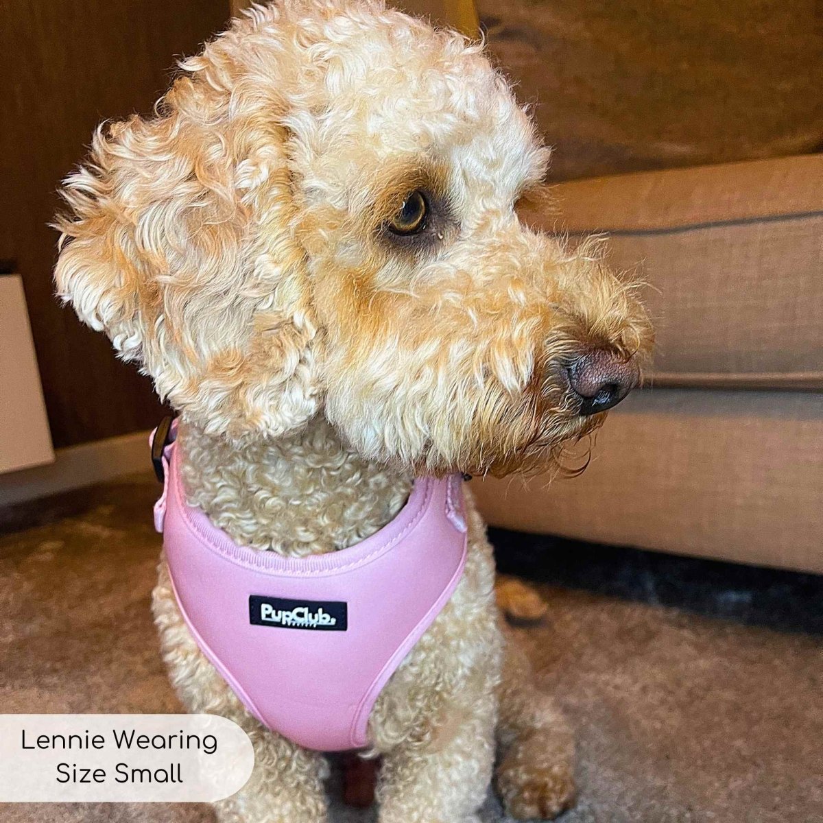 Pink dog harness medium cheap