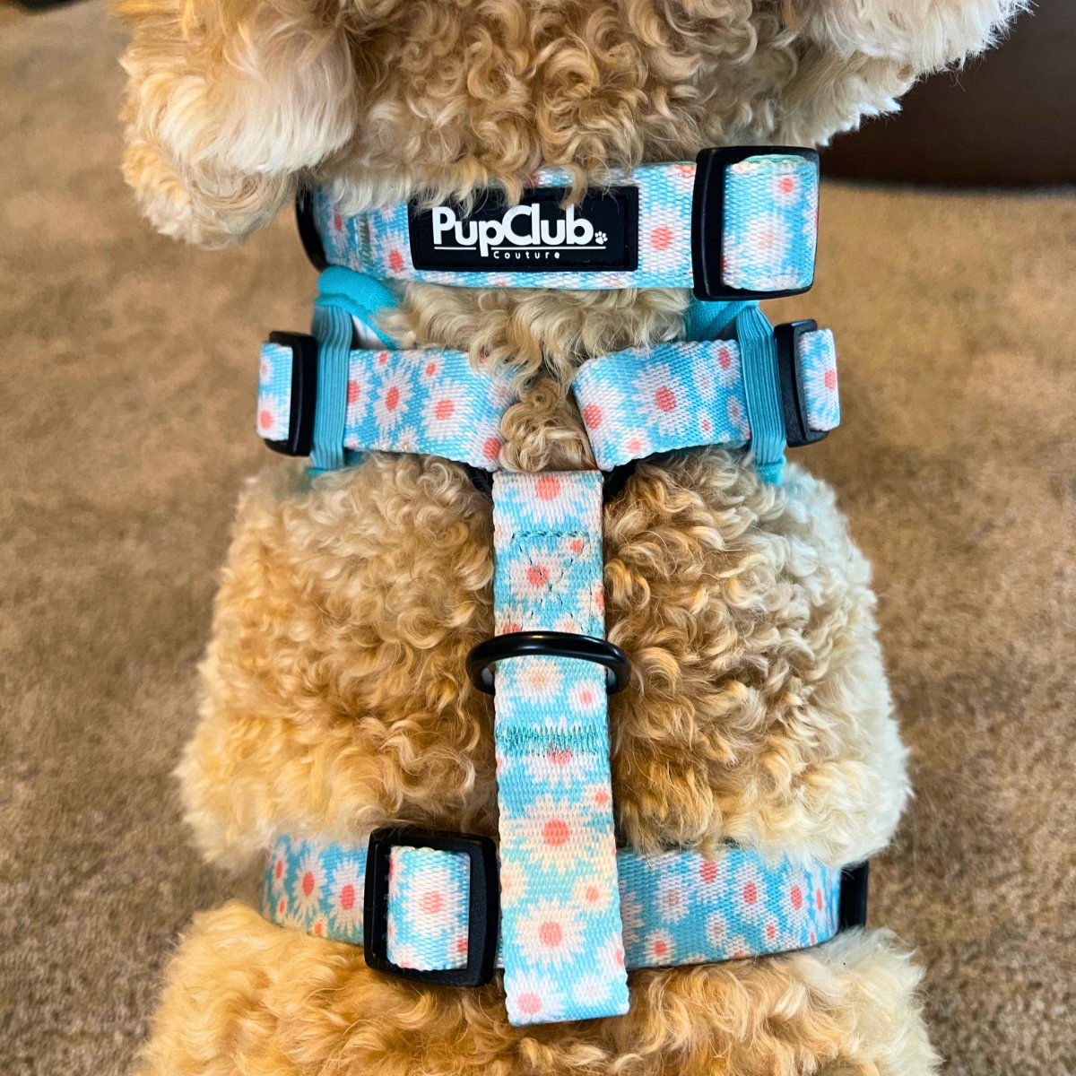 collar pastel daisy lennie