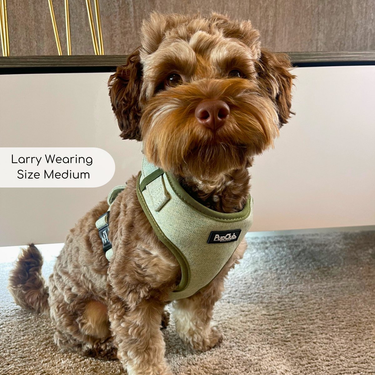 adjustable harness tweed green larry2