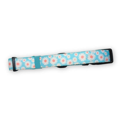 collar - pastel daisy back