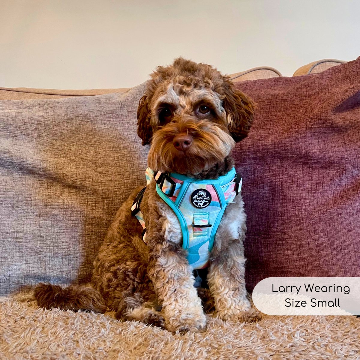 rugged rover harness pastel waves small larry